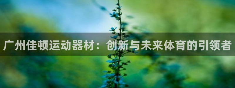 yy易游体育官方正版app娱乐平台:广州佳顿运动器材:创新与