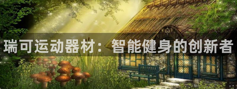 yy易游体育官方正版app娱乐是那个系列的台子:瑞可运动器材